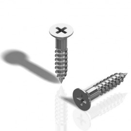 GeckoTeq Philips head Screw - 2.0x12